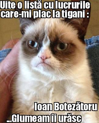 uite-o-list-cu-lucrurile-care-mi-plac-la-tigani-...glumeam-i-ursc-ioan-boteztoru