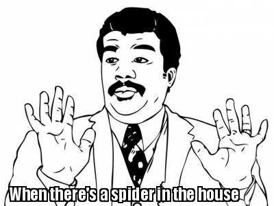 when-theres-a-spider-in-the-house