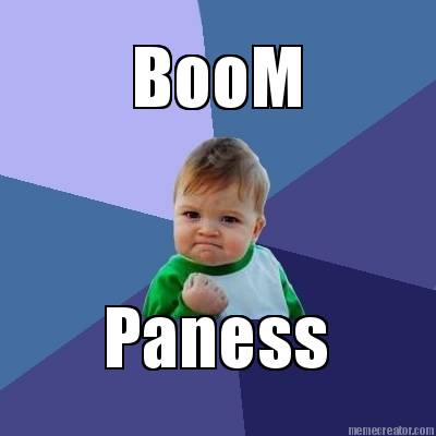 paness-boom