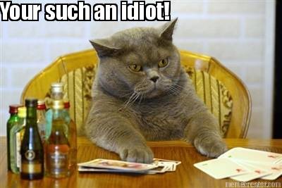 your-such-an-idiot