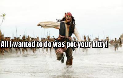 all-i-wanted-to-do-was-pet-your-kitty