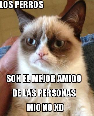 los-perros-son-el-mejor-amigo-de-las-personas-mio-no-xd