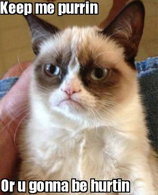 keep-me-purrin-or-u-gonna-be-hurtin