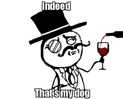 indeed-thats-my-dog