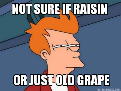 not-sure-if-raisin-or-just-old-grape