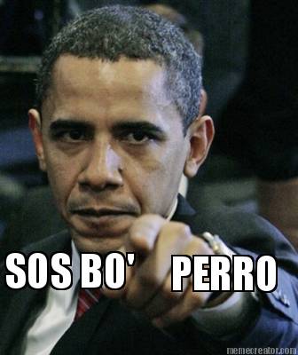 sos-bo-perro