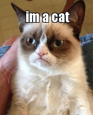 im-a-cat