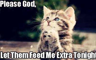 please-god-let-them-feed-me-extra-tonight