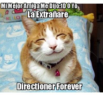 mi-mejor-amiga-me-dijo-1d-o-yo-la-extraare-directioner-forever