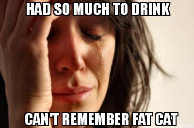 had-so-much-to-drink-cant-remember-fat-cat
