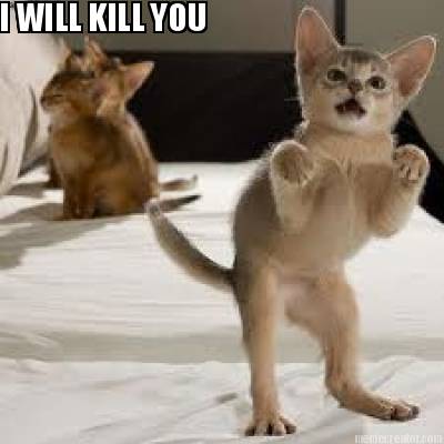 i-will-kill-you