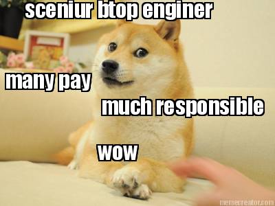 sceniur-btop-enginer-many-pay-much-responsible-wow