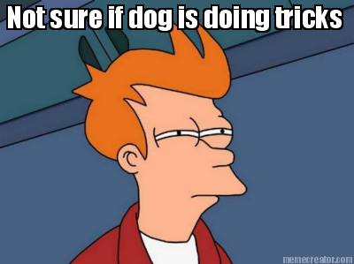 not-sure-if-dog-is-doing-tricks