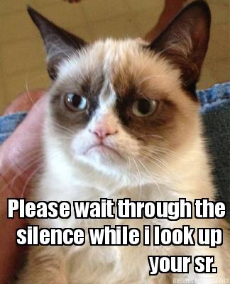 please-wait-through-the-silence-while-i-look-up-your-sr