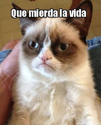 que-mierda-la-vida