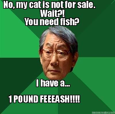 no-my-cat-is-not-for-sale.-wait-you-need-fish-i-have-a...-1-pound-feeeash