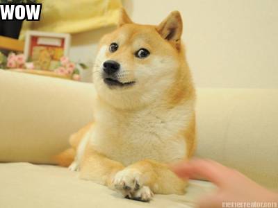 wow1