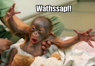 wathssap