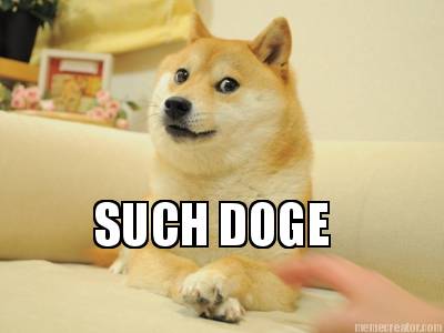 such-doge