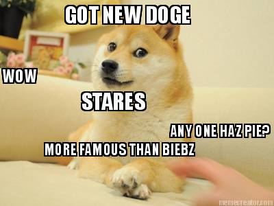 got-new-doge-wow-any-one-haz-pie-more-famous-than-biebz-stares