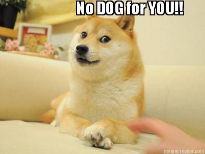 no-dog-for-you