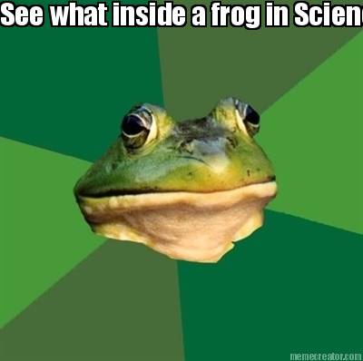 see-what-inside-a-frog-in-science