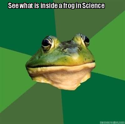 see-what-is-inside-a-frog-in-science