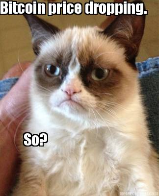 bitcoin-price-dropping.-so