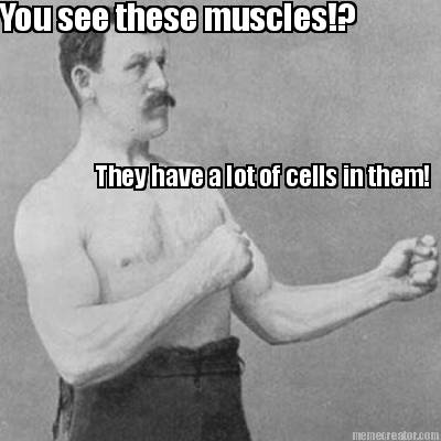 you-see-these-muscles-they-have-a-lot-of-cells-in-them
