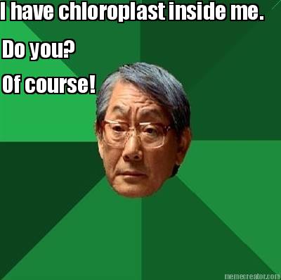 i-have-chloroplast-inside-me.-do-you-of-course