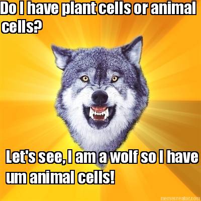 do-i-have-plant-cells-or-animal-cells-lets-see-i-am-a-wolf-so-i-have-um-animal-c