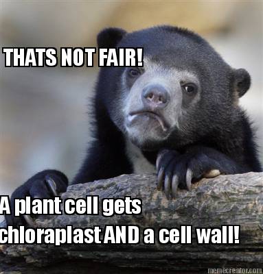 thats-not-fair-a-plant-cell-gets-chloraplast-and-a-cell-wall