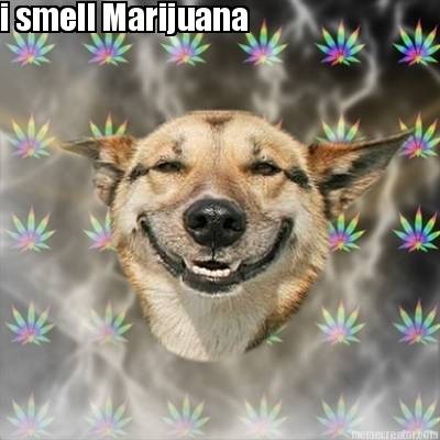 i-smell-marijuana