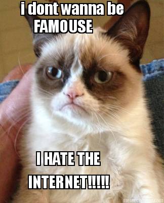 i-dont-wanna-be-famouse-i-hate-the-internet