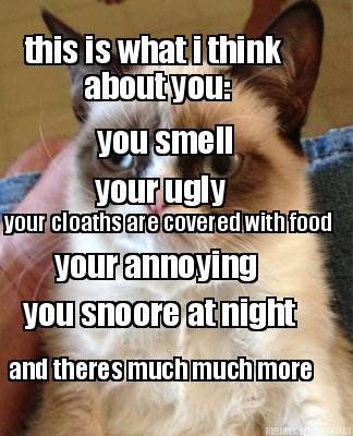 this-is-what-i-think-about-you-you-smell-your-ugly-your-cloaths-are-covered-with
