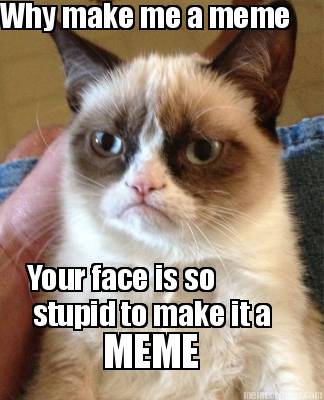 why-make-me-a-meme-your-face-is-so-stupid-to-make-it-a-meme
