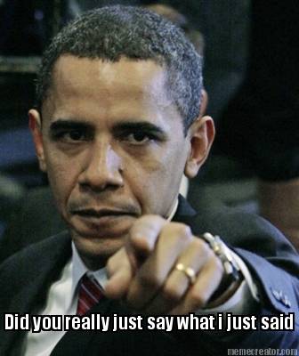 did-you-really-just-say-what-i-just-said