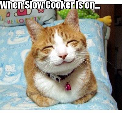 when-slow-cooker-is-on