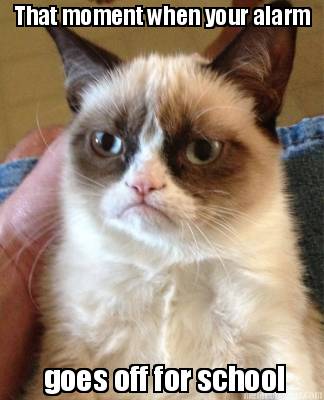 that-moment-when-your-alarm-goes-off-for-school