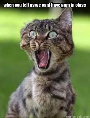 when-you-tell-us-we-cant-have-gum-in-class