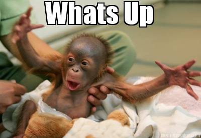 whats-up