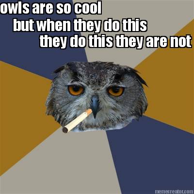 owls-are-so-cool-but-when-they-do-this-they-do-this-they-are-not