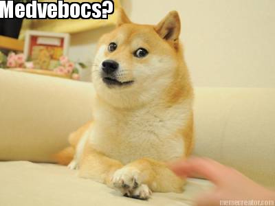 medvebocs