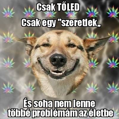 csak-tled-csak-egy-szeretlek-s-soha-nem-lenne-tbb-problmm-az-letbe