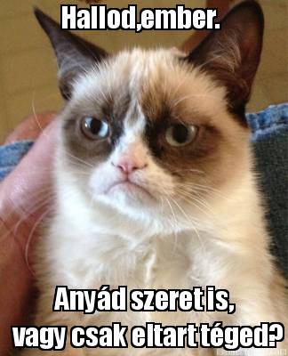 hallodember.-anyd-szeret-is-vagy-csak-eltart-tged