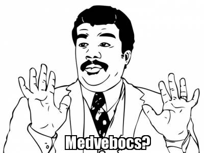 medvebocs4