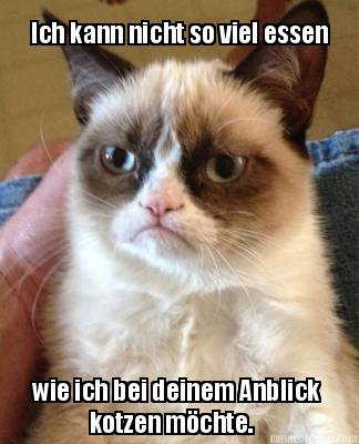 ich-kann-nicht-so-viel-essen-wie-ich-bei-deinem-anblick-kotzen-mchte