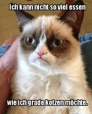 ich-kann-nicht-so-viel-essen-wie-ich-grade-kotzen-mchte