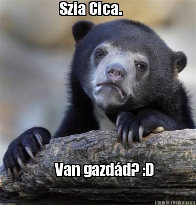 szia-cica.-van-gazdd-d9