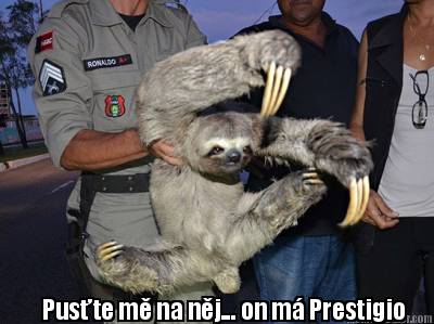 puste-m-na-nj...-on-m-prestigio